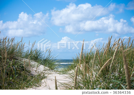 Dunes and sea 36364336