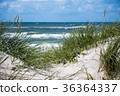 Dunes and sea 36364337