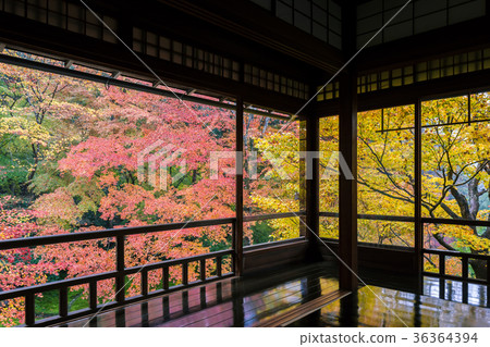 Authority Rurikoin 36364394