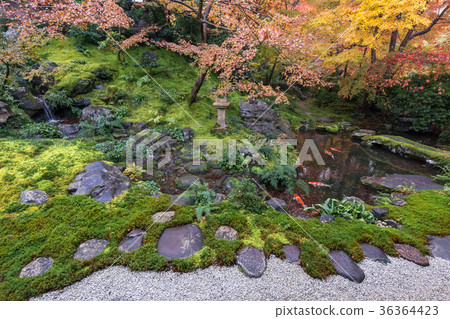 Authority Rurikoin 36364423