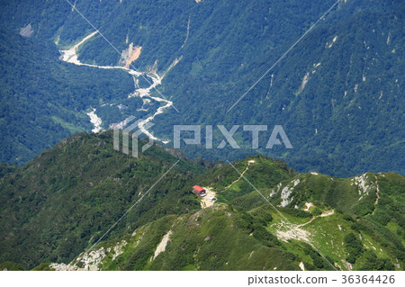 通往山頂的道路 36364426