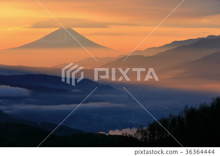 Aoun Fuji和Unkai早上在早晨的陽光下染色 Aoun Fuji和Unkai早上在早晨的陽光下染色 36364444