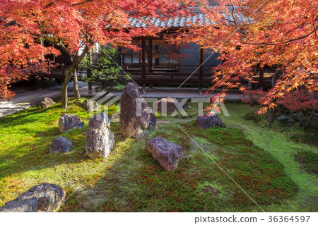 季節性花園 36364597