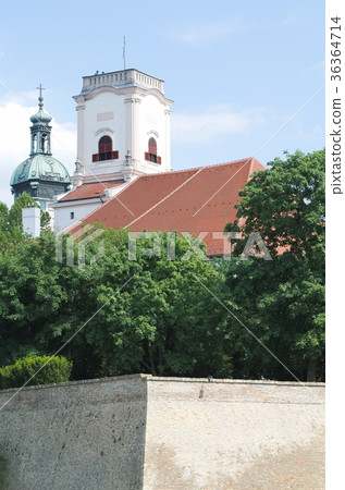 Castle in Gyor City 36364714