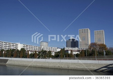 浦安市12月 浦安市12月 36365393