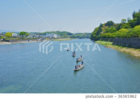 Going down the Kuma River (Kumamoto) 36365962