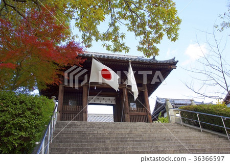 秋天倉敷Bikan區(岡山縣)的Achi神社 秋天倉敷Bikan區(岡山縣)的Achi神社 36366597