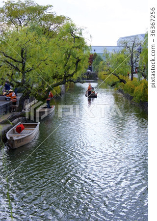 Kawashima飄帶在秋季倉敷美學區（岡山） 36367256