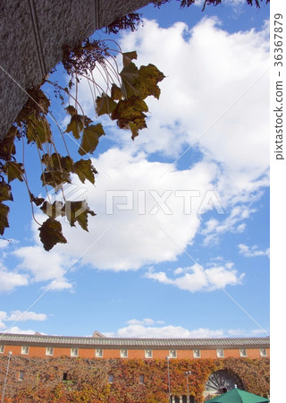 Kurashiki Ivy Square (Okayama) in the autumn Kurashiki beauty district 36367879
