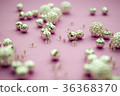 scattered silver beads on pink background 36368370