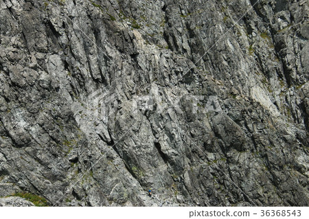 就在山頂 36368543