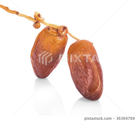 dried fruits from date palm isolated on white dried fruits from date palm isolated on white 36369789