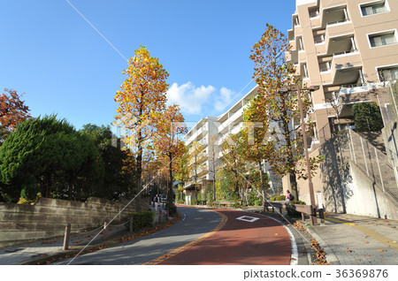 Apartments along a hill 36369876