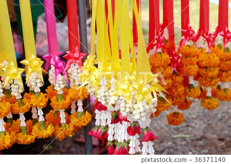 Jasmine garland in market 36371140