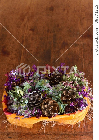 Dried flower of hydrangea 36371215