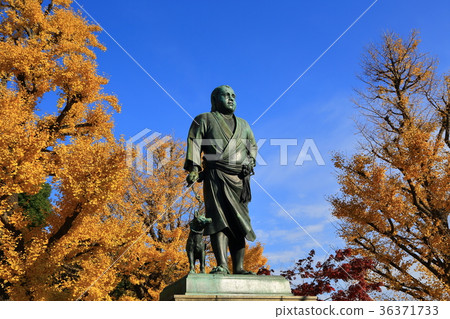 Ueno Saigo Takamori雕像 36371733