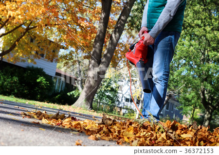 Man working with  leaf blower 36372153
