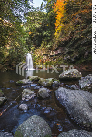 Tollet Fall @ Isahaya, Nagasaki Prefecture 36372472