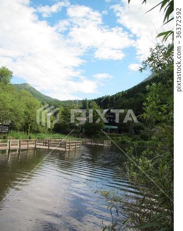 Lake through the forest 36372592