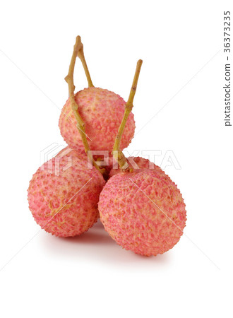 fresh lychees on white background 36373235