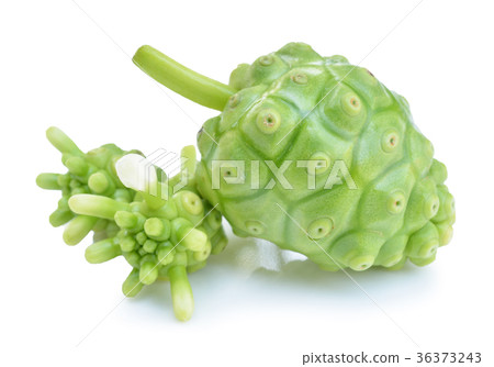 Noni on white Noni on white 36373243