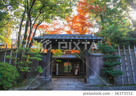 Fall of springs tei Fall of springs tei 36373552