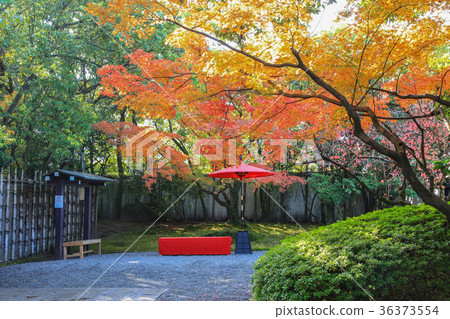 Fall of springs tei Fall of springs tei 36373554