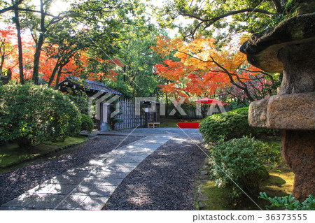 Fall of springs tei Fall of springs tei 36373555