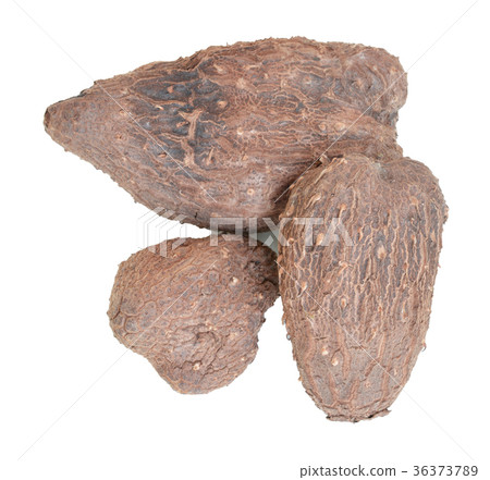 Taro root 36373789