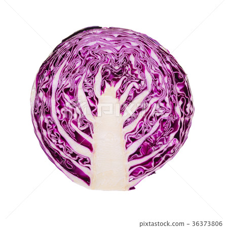 Fresh red cabbage Fresh red cabbage 36373806