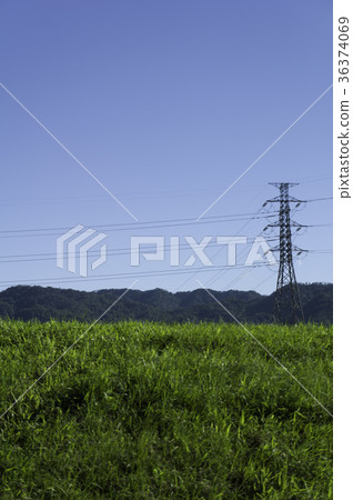 High voltage tower green meadow High voltage tower green meadow 36374069