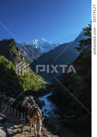 珠穆朗瑪峰高速公路和Ksumum Gangul 36374127