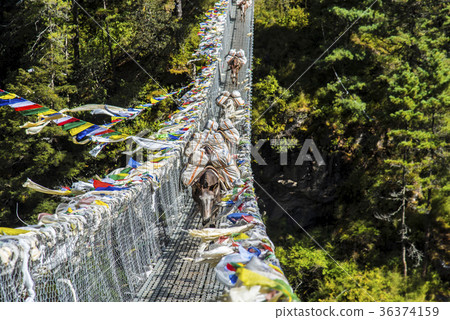 Donkey crossing the suspension bridge on the Everest Highway Donkey crossing the suspension bridge on the Everest Highway 36374159