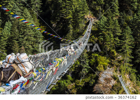 Donkey crossing the suspension bridge on the Everest Highway Donkey crossing the suspension bridge on the Everest Highway 36374162