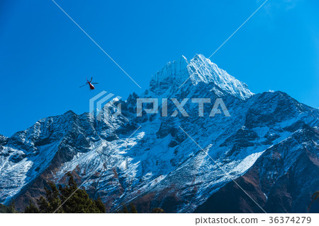 Tamserk6623m 36374279