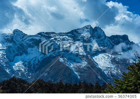 Conder of the snowy mountains 36374305