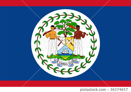 Official vector flag of Belize 36374657