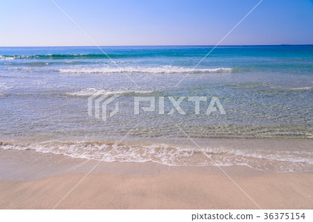 Summer image beach Summer image beach 36375154