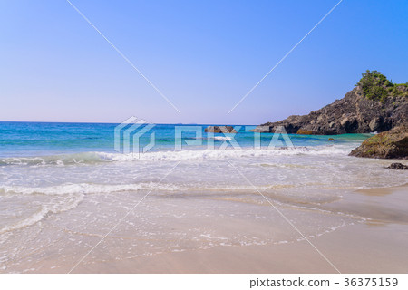 Summer image beach Summer image beach 36375159