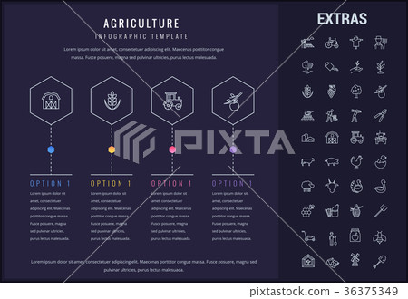 Agriculture infographic template, elements, icons. 36375349