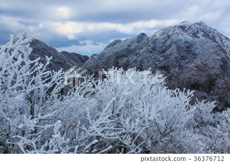 Snow and hoarfrost from Mt. Myouken Unzen Fugen-dake and Heisei Shinzan 36376712