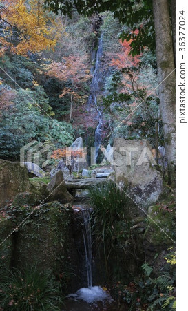 Sanjo-ji Temple Fino-no-Taki Otoneno-Sou補充花園〜廣島縣西區〜 36377024