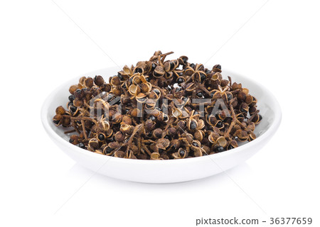 zanthozylum limonella alston in the white plate  36377659