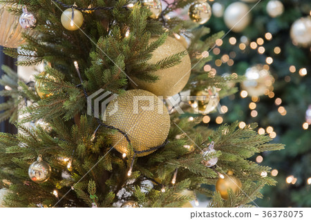 Christmas Image 36378075