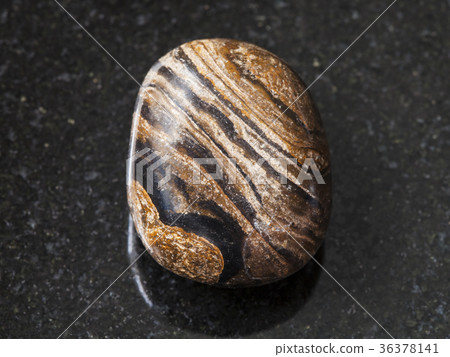 tumbled stromatolite gemstone on dark background tumbled stromatolite gemstone on dark background 36378141
