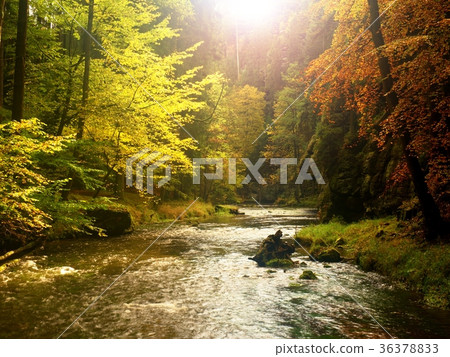Dreamy mountain in autumn forest. Colorful mist Dreamy mountain in autumn forest. Colorful mist 36378833