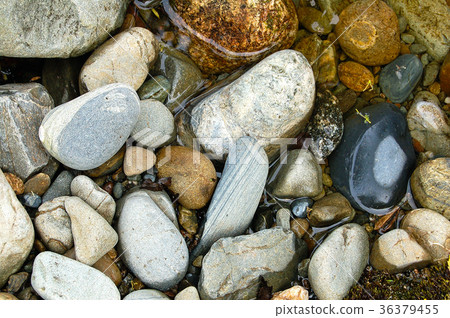 Pebbles - Arthur's Pass 36379455