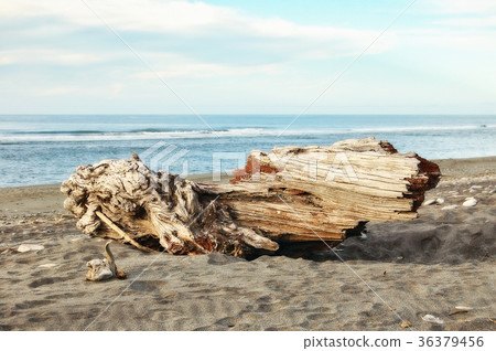 Hokitika Beach - West Coast 36379456