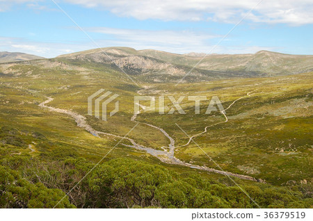 View from the Charlotte Pass - Thredbo 36379519
