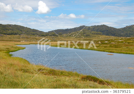 Creek - Thredbo 36379521